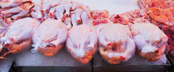 جنون أسعار «الدواجن» في الأسواق ؟! … رئيس «حماية المستهلك» يقترح السماح باستيراد اللحوم والأسماك