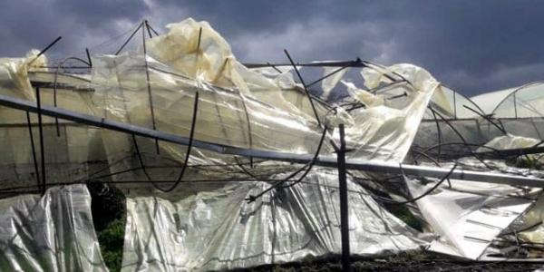 تضرر الزراعات المحمية وشبكة الاتصالات جراء العاصفة في طرطوس