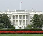 ����� ������ : ����� ������� �� ���� ��� ���� ��������