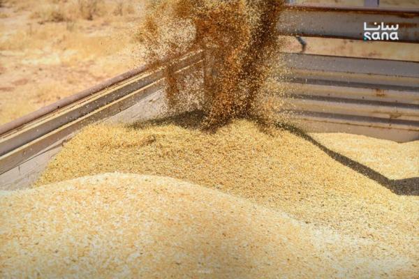 غرفة سياحة طرطوس تعقد اجتماعاً هاماً مع مجلس المدينة.. مويشة: لتحسين واقع العمل وتذليل المعوقات