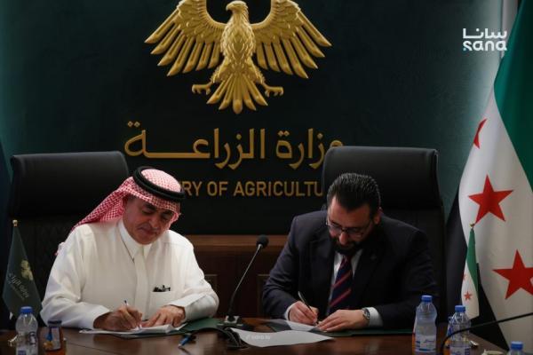 قريباً.. 11 رغيفاً صغيراً بدل 7 في كل ربطة 