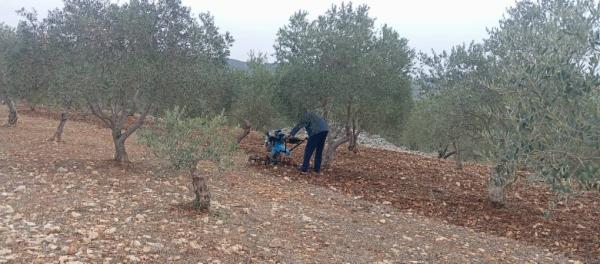 الحرارة أعلى من معدلاتها والطقس خريفي مستقر