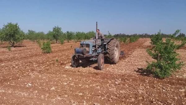 الذهب الأبيض صدأ والشعارات للتصفيق لا للتنمية… الوجدانيات تُعطّل الاقتصاد السوري