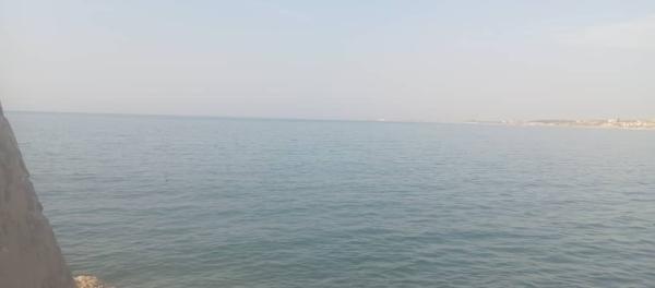 درجات الحرارة حول معدلاتها وضباب فوق إدلب