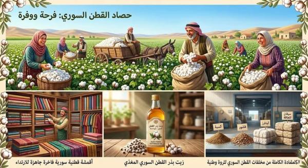 رجل  الأعمال السوري فيصل العطري يسأل: القطن السوري إلى أين؟!