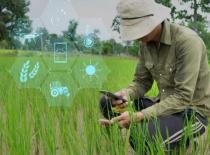 هل  تساهم تطبيقات الذكاء الاصطناعي في إحداث نقلة نوعية بالقطاع الزراعي؟